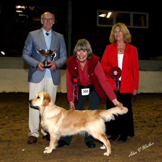 Best Puppy in Show at
Southampton & DCS Best Puppy in Show at
Southampton & DCS